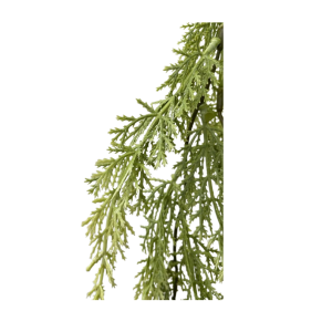  PENDENTE DE PINHEIRO