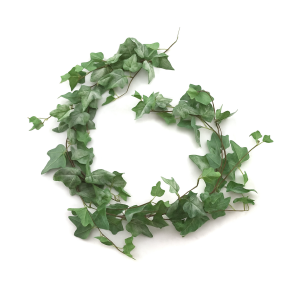 CORRENTE DE FOLHA DE UVA OUTONADA