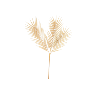 FOLHAGEM DE PALMEIRA OUTONAL GALHO COM 3