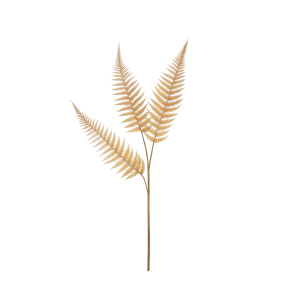 FOLHAGEM DE SAMAMBAIA  OUTONAL