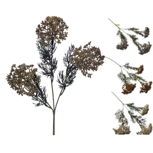 HASTE DE CAPIM COM SEMENTE