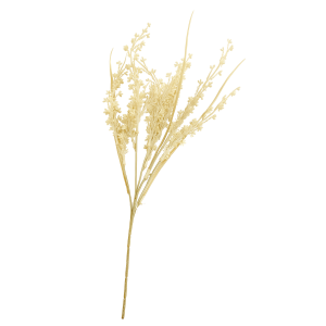 GALHO CARRAPICHO OUTONADO