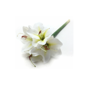 GALHO DE AMARILIS EM  SILICONE