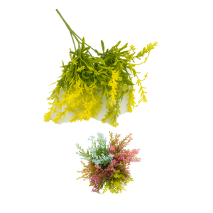 FLOR LAVANDA  COLORIDA COM 5