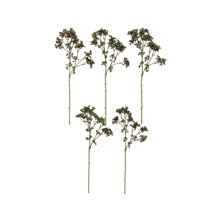 HASTE DE GALHO COM  SEMENTES