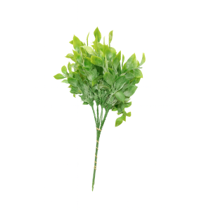 PICK FOLHAGEM RUSCUS