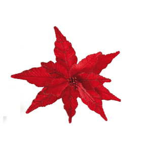 FLOR BICO PAPAGAIO  VERMELHO